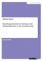 Handlungsorientierter Einstieg in die Elektrizitatslehre in der Gesamtschule