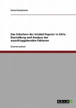 Scheitern der Unidad Popular in Chile. Darstellung und Analyse der ausschlaggebenden Faktoren
