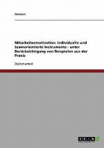 Mitarbeitermotivation: Individuelle und teamorientierte Instrumente und Beispiele aus der Praxis