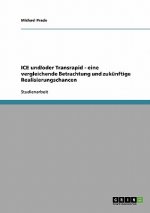 ICE und/oder Transrapid - eine vergleichende Betrachtung und zukünftige Realisierungschancen