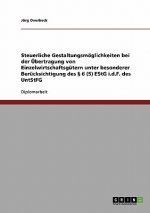 Steuerliche Gestaltungsmoglichkeiten Bei Der Ubertragung Von Einzelwirtschaftsgutern Unter Besonderer Berucksichtigung Des 6 (5) Estg I.D.F. Des Untst