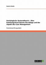 Soziologische Systemtheorie - Eine handlungstheoretische Grundlage und der Aspekt des Case Management