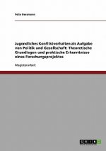 Jugendliches Konfliktverhalten als Aufgabe von Politik und Gesellschaft