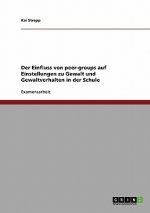 Der Einfluss von peer-groups auf Einstellungen zu Gewalt und  Gewaltverhalten in der Schule