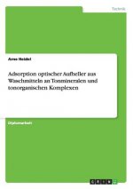 Adsorption optischer Aufheller aus Waschmitteln an Tonmineralen und tonorganischen Komplexen