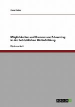 E-Learning in der betrieblichen Weiterbildung