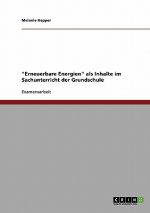 Erneuerbare Energien im Sachunterricht der Grundschule