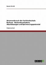 Stromverbrauch der Fachhochschule Bochum - Bestandsaufnahme, Abschatzungen und Optimierungspotenzial