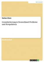 Grundsicherung in Deutschland: Probleme und Perspektiven