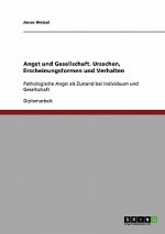 Angst Und Gesellschaft. Ursachen, Erscheinungsformen Und Verhalten