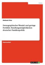 Demographischer Wandel und geringe Fertilitat. Handlungsmoeglichkeiten deutscher Familienpolitik