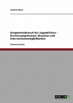 Drogenmissbrauch bei Jugendlichen - Erscheinungsformen, Ursachen und Interventionsmoeglichkeiten