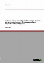 Tourismus - Ausweg oder Sackgasse? Erwartungen, Probleme und Perspektiven aus Sicht der Entwicklungsländer