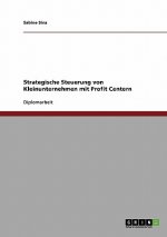strategische Steuerung von Kleinunternehmen mit Profit Centern