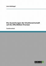 Die Auswirkungen der Schattenwirtschaft auf die öffentlichen Finanzen
