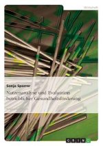 Nutzenanalyse Und Evaluation Betrieblicher Gesundheitsforderung