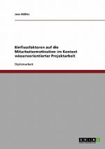 Einflussfaktoren auf die Mitarbeitermotivation im Kontext wissensorientierter Projektarbeit
