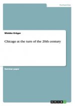 Chicago at the turn of the 20th century