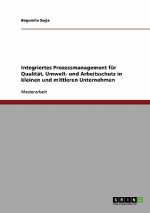 Integriertes Prozessmanagement fur Qualitat, Umwelt- und Arbeitsschutz in kleinen und mittleren Unternehmen