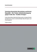 Zwischen Russischer Revolution und Erster Republik - Die Tiroler Arbeiterbewegung gegen Ende des Grossen Krieges