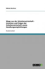 Wege aus der Schattenwirtschaft - Ursachen und Folgen der Schattenwirtschaft sowie Handlungsempfehlungen