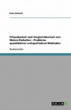 Erfassbarkeit und Vergleichbarkeit von Makro-Einheiten - Probleme quantitativer und qualitativer Methoden