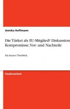 Die Türkei als EU-Mitglied? Diskussionen, Kompromisse, Vor- und Nachteile