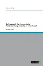 Befindet Sich Die  konomische Politikberatung Derzeitig in Einer Krise?