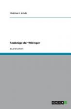 Raubz ge Der Wikinger
