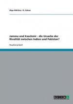 Jammu und Kaschmir - die Ursache der Rivalitat zwischen Indien und Pakistan?