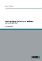 Inwieweit sind die Vereinten Nationen reformbedürftig?