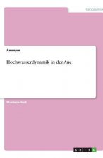 Hochwasserdynamik in der Aue
