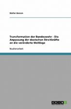Transformation der Bundeswehr - Die Anpassung der deutschen Streitkräfte an die veränderte Weltlage