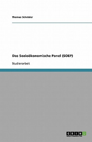 Das Sozioökonomische Panel (SOEP)