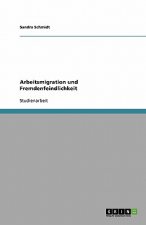 Arbeitsmigration und Fremdenfeindlichkeit