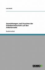 Auswirkungen Und Ursachen Der Schattenwirtschaft Auf Den Arbeitsmarkt