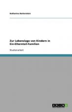 Zur Lebenslage Von Kindern in Ein-Elternteil-Familien