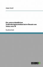 Die unterschiedlichen Verbindungstechniken beim Einsatz von Voice over IP
