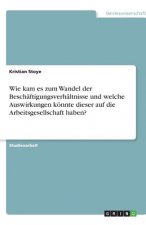 Wie kam es zum Wandel der Beschäftigungsverhältnisse und welche Auswirkungen könnte dieser auf die Arbeitsgesellschaft haben?