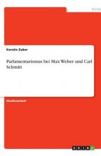 Parlamentarismus bei Max Weber und Carl Schmitt