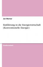 Einführung in die Energiewirtschaft (Konventionelle Energie)