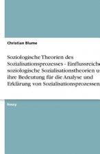 Soziologische Theorien des Sozialisationsprozesses - Einflussreiche soziologische Sozialisationstheorien und  ihre Bedeutung für die Analyse und Erklä