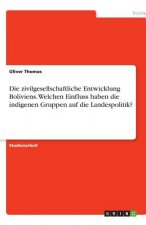 Die zivilgesellschaftliche Entwicklung Boliviens. Welchen Einfluss haben die indigenen Gruppen auf die Landespolitik?