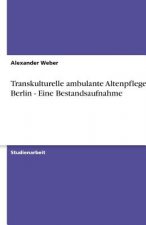 Transkulturelle ambulante Altenpflege in Berlin - Eine Bestandsaufnahme