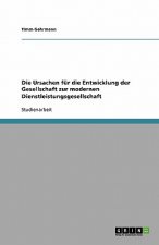 Ursachen Fur Die Entwicklung Der Gesellschaft Zur Modernen Dienstleistungsgesellschaft