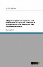Integration psychoanalytischer und transaktionsanalytischer Elemente in sozialpadagogische Trennungs- und Scheidungsberatung
