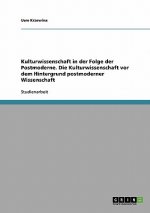 Kulturwissenschaft in der Folge der Postmoderne. Die Kulturwissenschaft vor dem Hintergrund postmoderner Wissenschaft