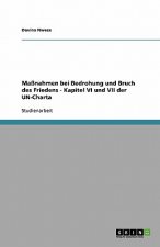 Maßnahmen bei Bedrohung und Bruch des Friedens - Kapitel VI und VII der UN-Charta