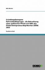 Gründungsbezogene Rahmenbedingungen - die Betrachtung einer politischen Pflicht mit Hilfe des Global Entrepreneurship Monitor (GEM) 2005