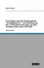 Ernst Junger und sein Kriegstagebuch In Stahlgewittern - eine Untersuchung der verschiedenen Fassungen vor dem Hintergrund der Jahre 1919-1934